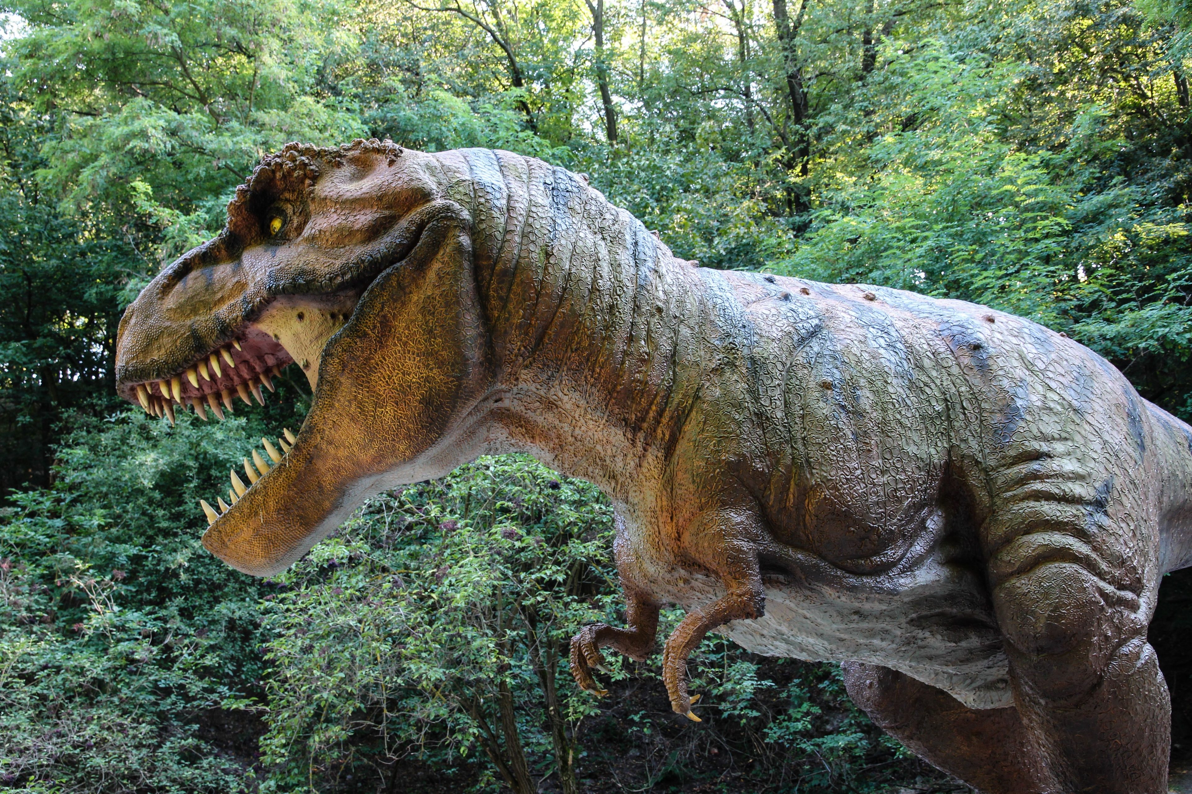 Tyrannosaurus rex 5K UHD Wallpaper