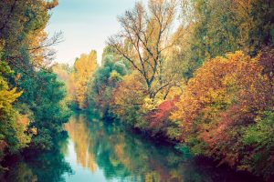 Autumn River 5K