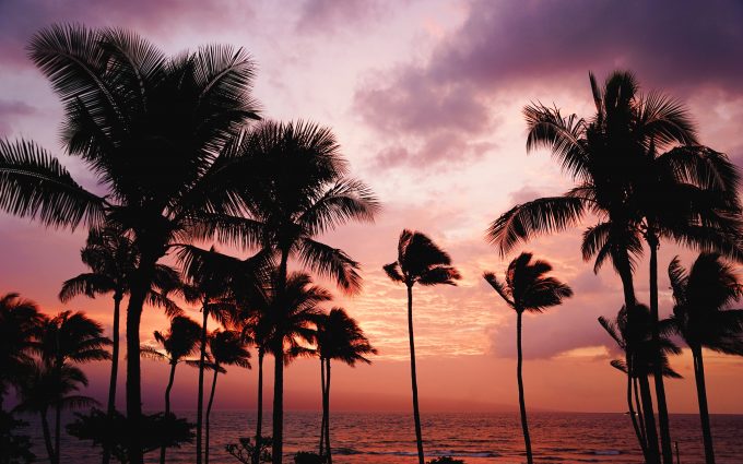 Sunset On A Beach With Palm Trees