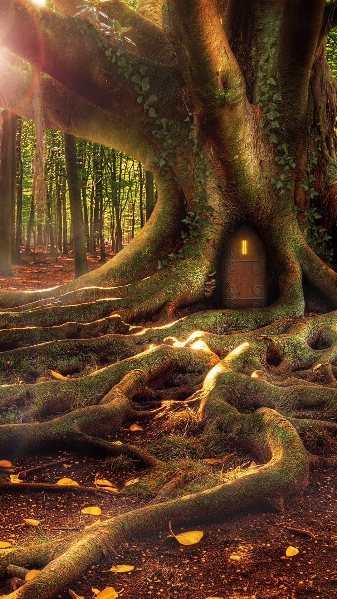 Treehouse in a Fantasy forest HD Wallpaper