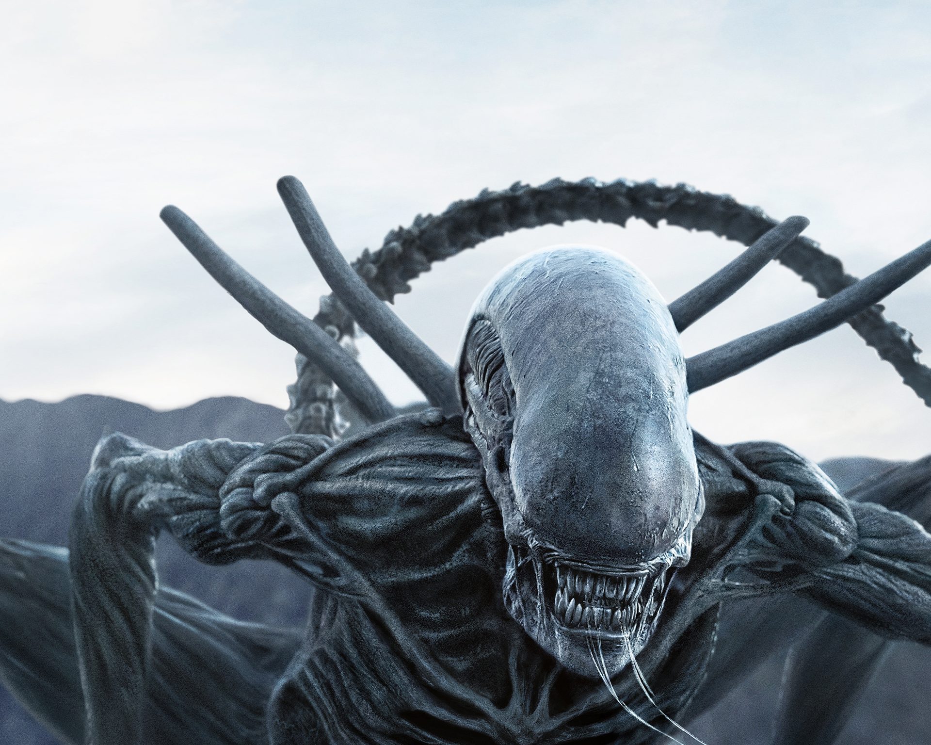 Alien: Covenant Xenomorph (Planet 4) HD Wallpaper