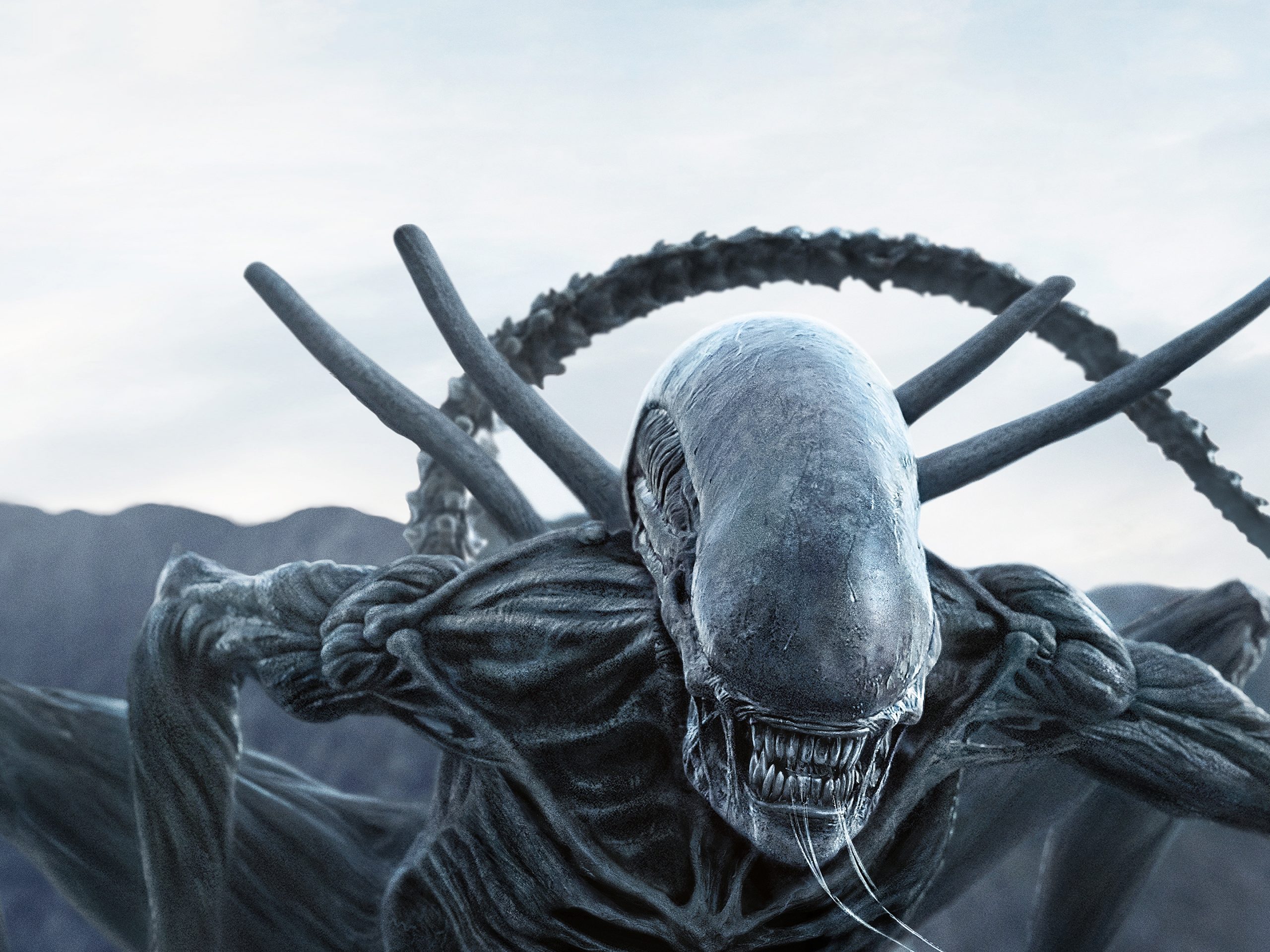 Alien: Covenant Xenomorph (Planet 4) HD Wallpaper