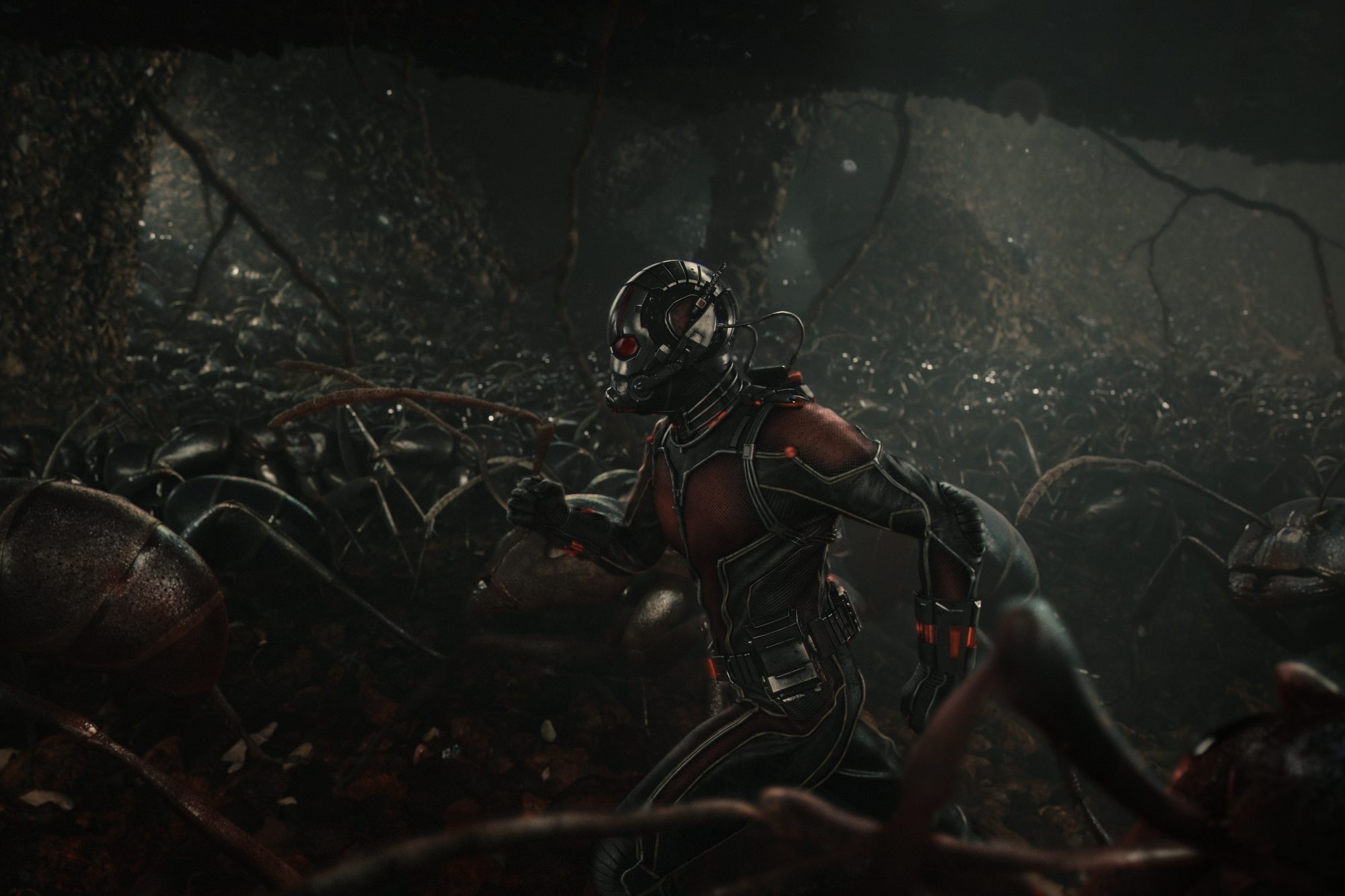 Ant Man Running With Ants 4k Uhd Wallpaper