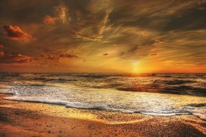 Beautiful North Sea Beach At Sunset HD