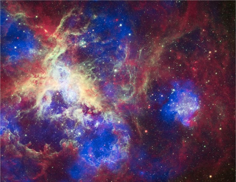 Tarantula Nebula HD/Ultra HD Wallpapers 🔥 Wallpapers.gg