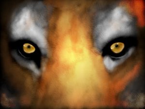 Tiger Face (Digital Painting)  HD