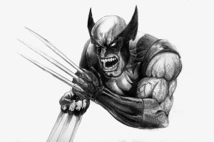 Wolverine Berserker Rage Black and White 8K